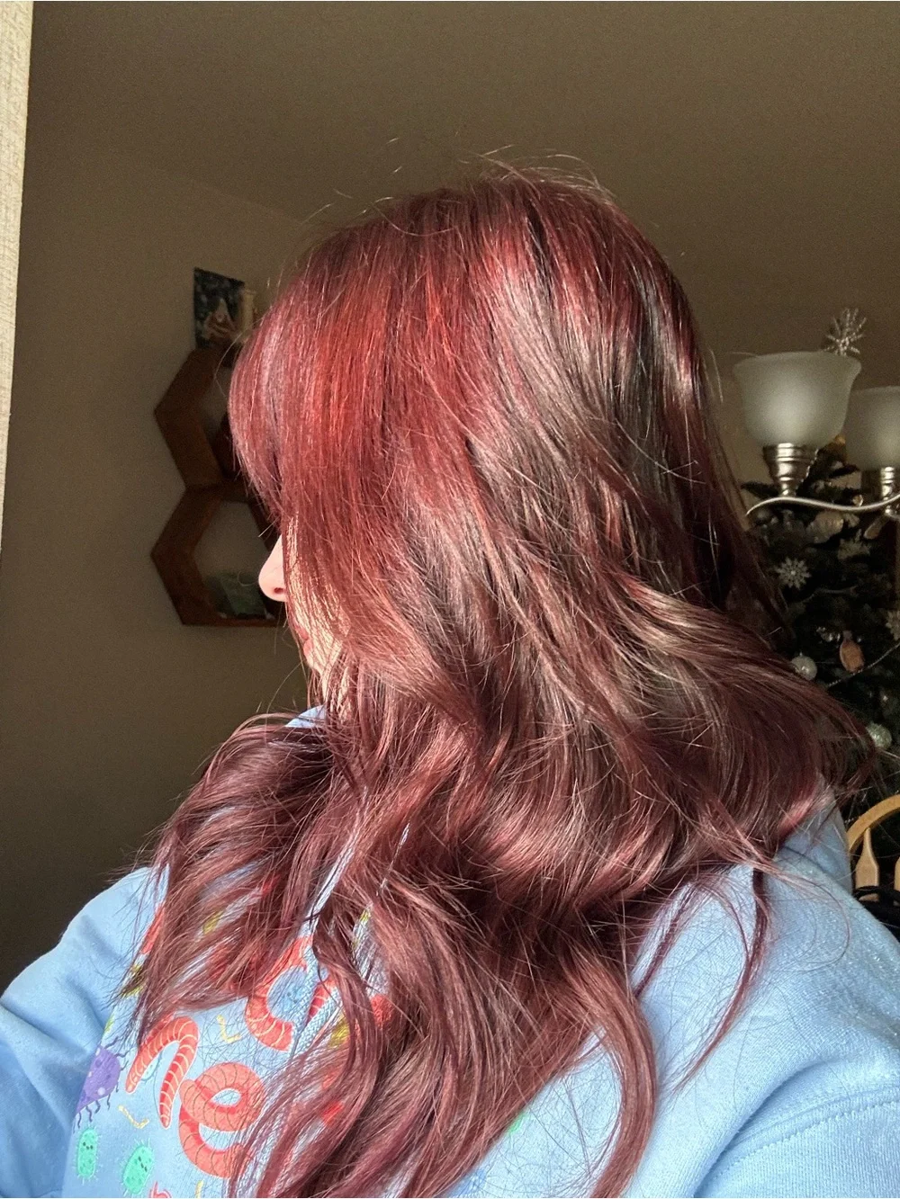 Redhead Hair Dye Bundle Used